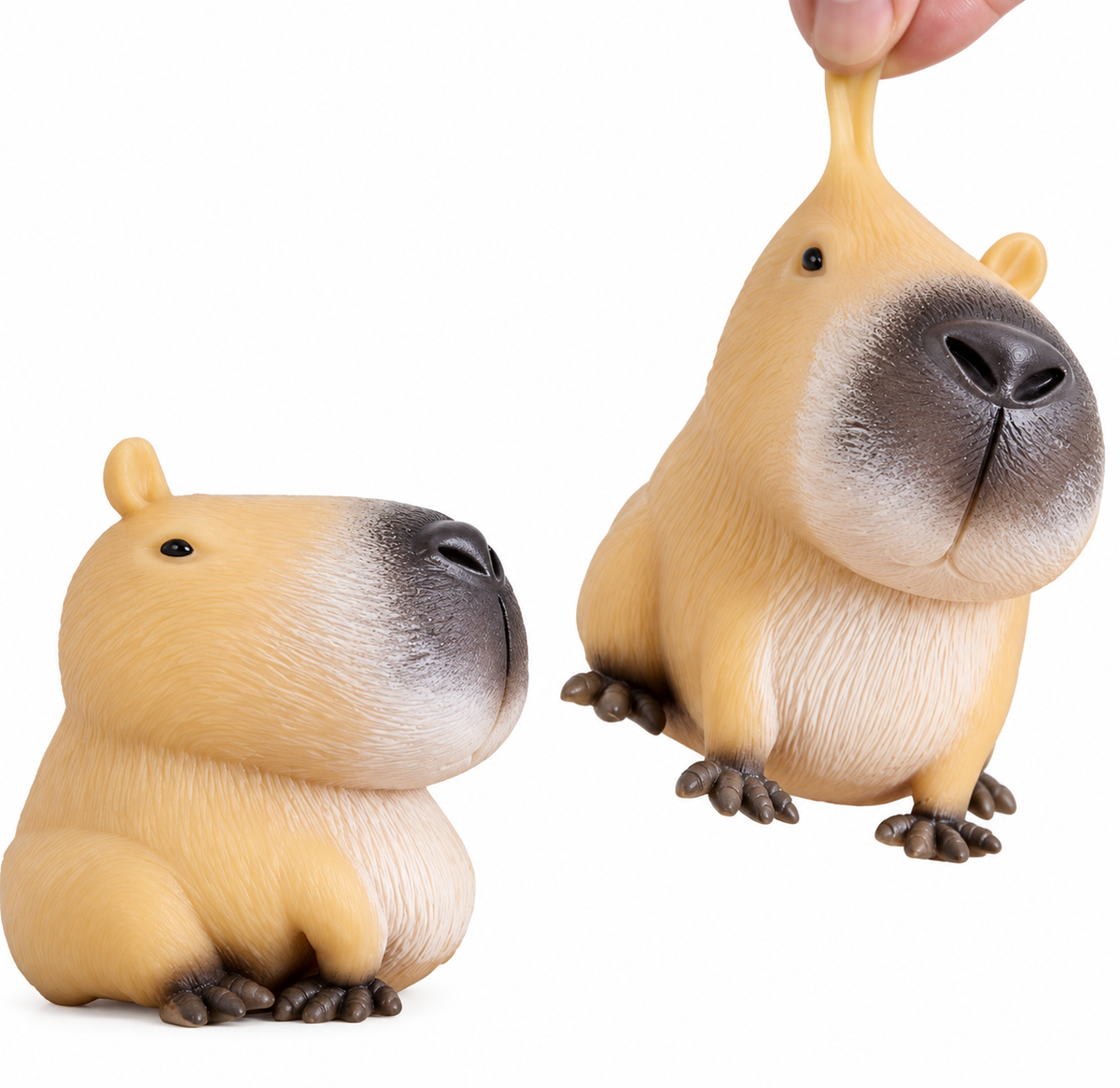 Squishy Cute Capybara